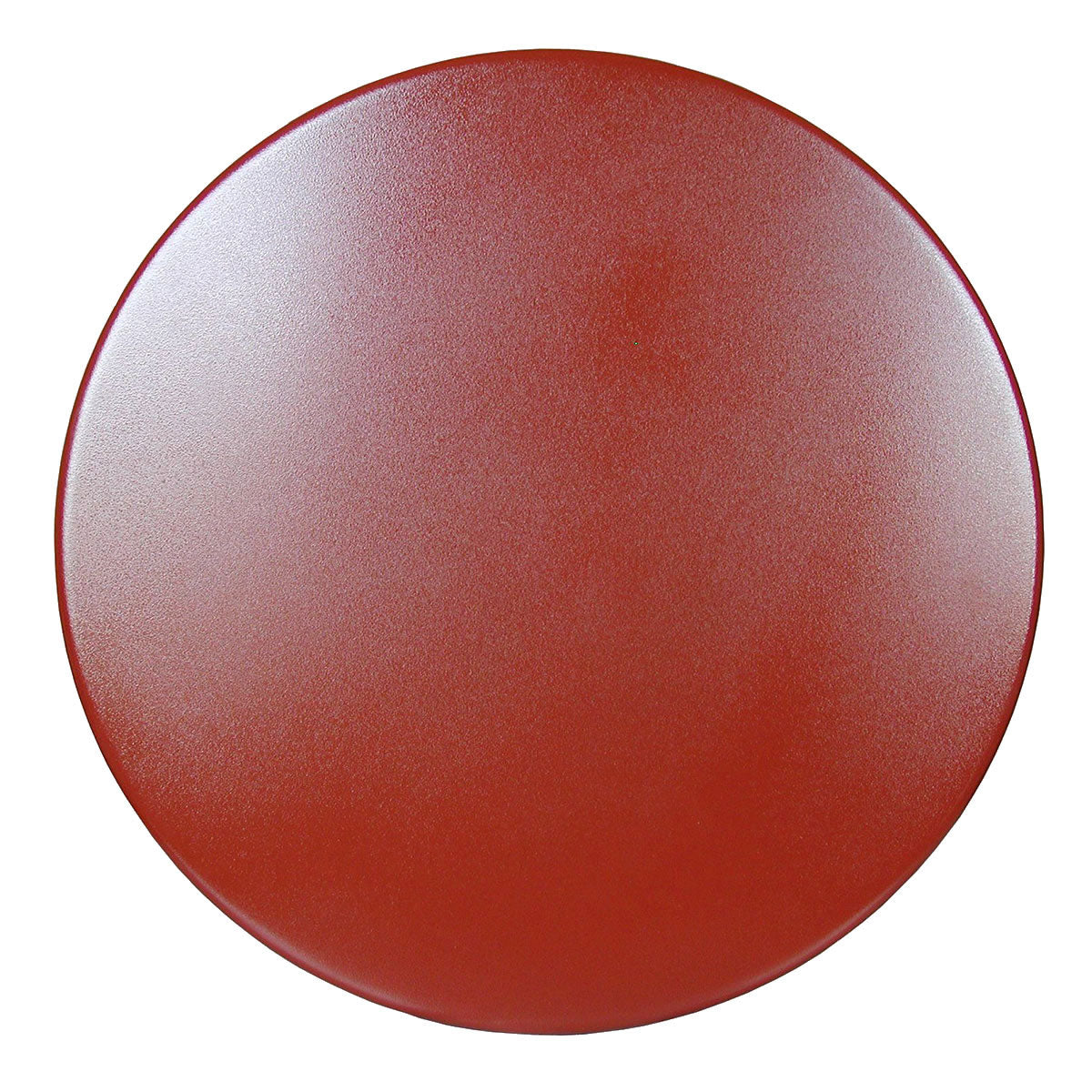 Raimondi Steel Disc to Smooth Fresh Cement Floor