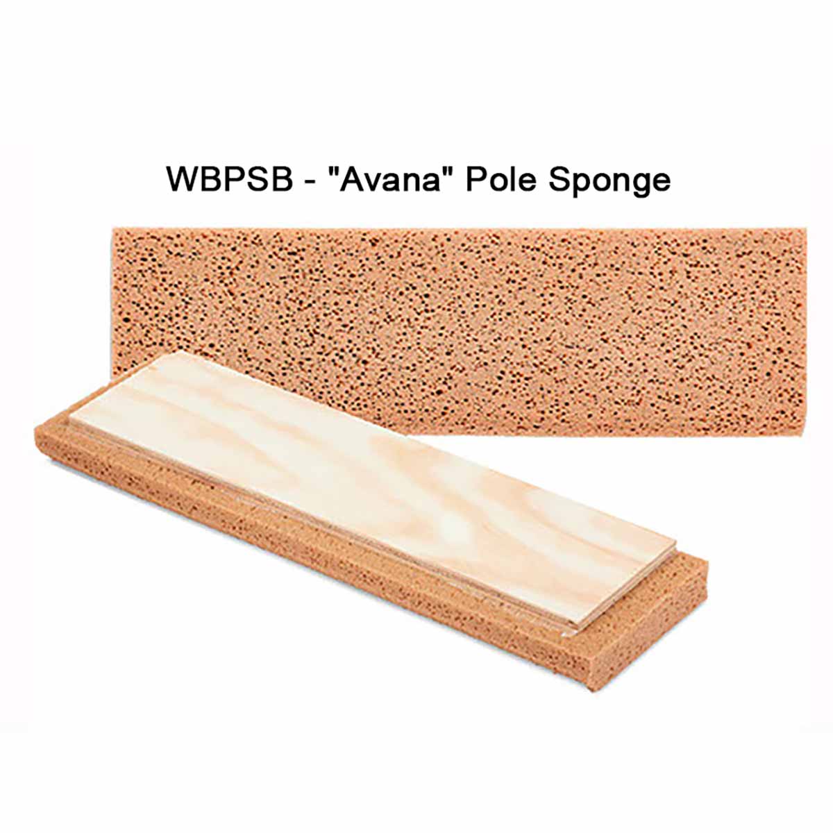 Raimondi Replacement Sponge for Pole Sponge labeled 'Avana'