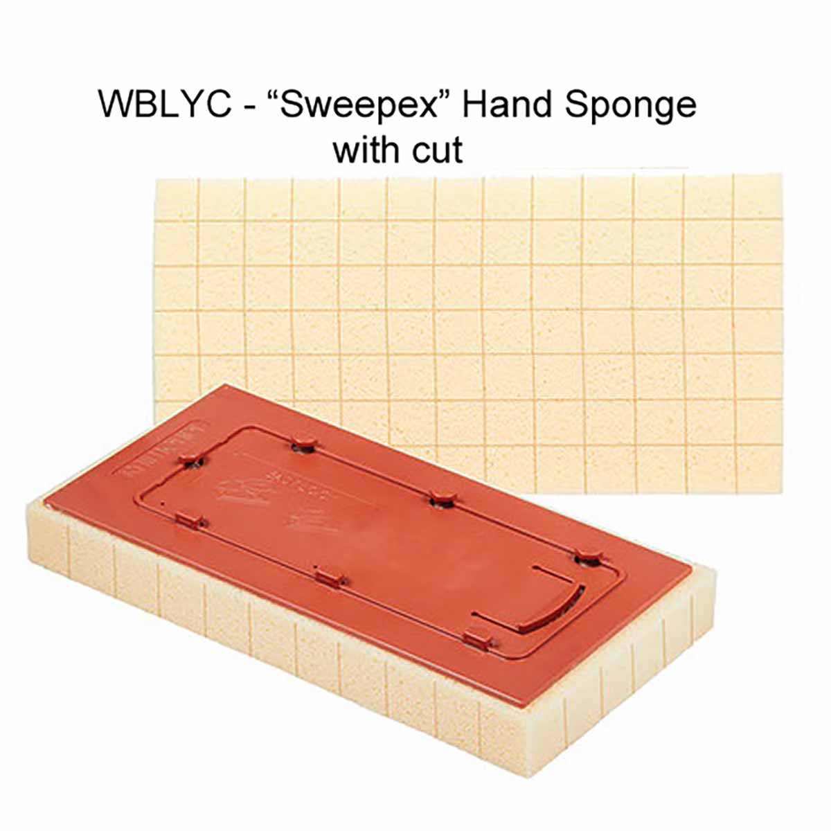 Raimondi Replacement Sponge for Handle STANDARD Sizes