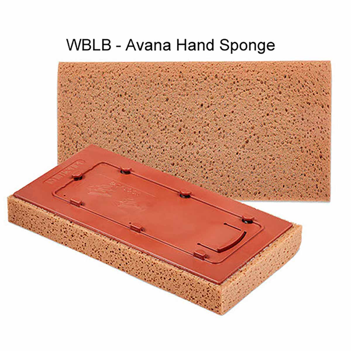 Raimondi Replacement Sponge for Handle STANDARD Sizes