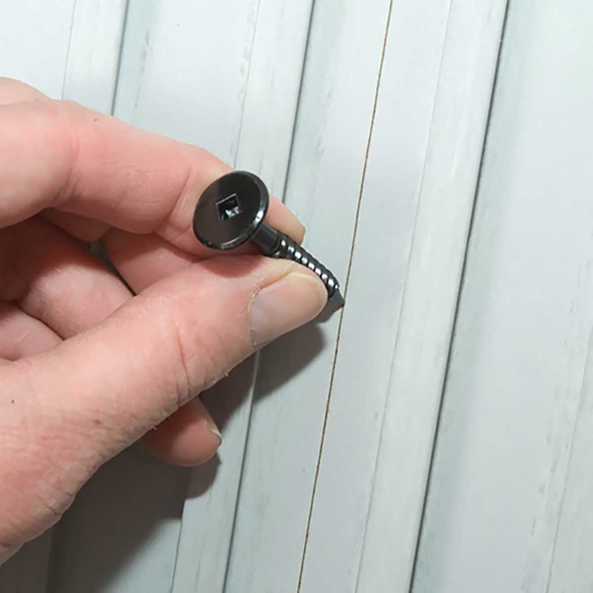 TI-ProBoard Head Deck Screw - Hand holding a black screw against a white wooden panel background
