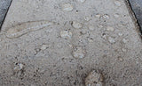 Glaze n Seal Natural Look Paver Sealer 1GL