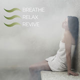 Serene Steam Shower Solar Flare Revive ADA - Matte Black