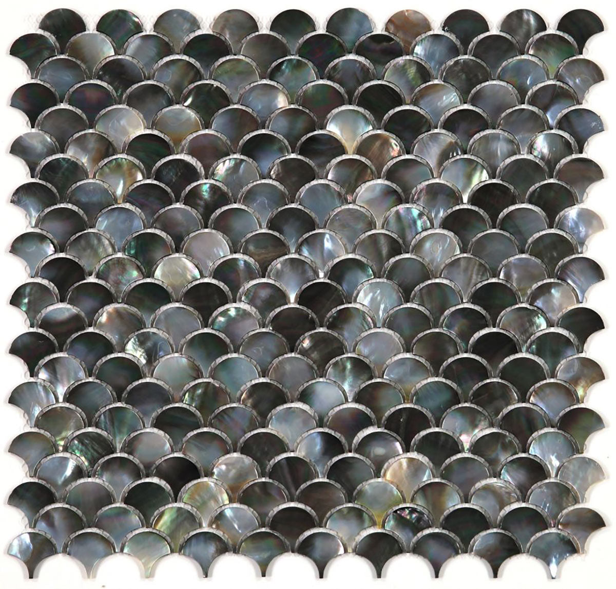 Tahitian Black Pearls - Pearl Black Scale