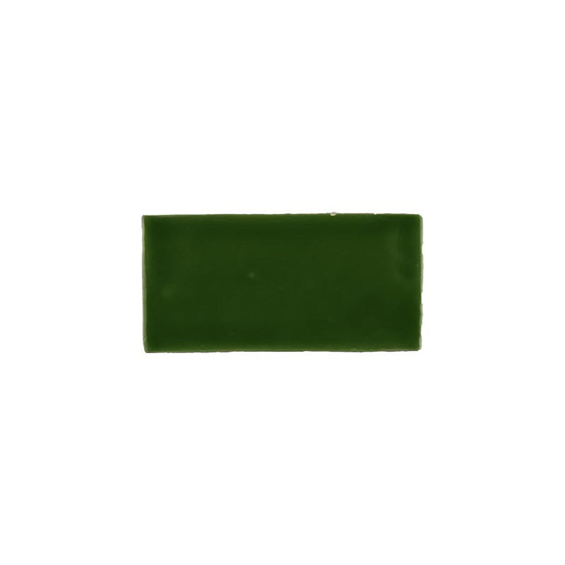 Kaleidoscope Handmade Ceramic Tile 3x6 - Green Turtle
