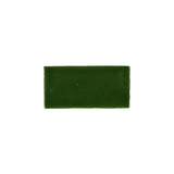 Kaleidoscope Handmade Ceramic Tile 3x6 - Green Turtle