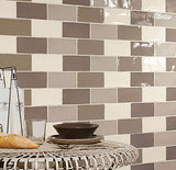 Kaleidoscope Handmade Ceramic Tile 2x8 - Light Grey