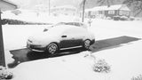 Warmup Snow and Ice Melting Cable 100-170 sq ft - WSM