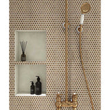 Bathroom setting with gold shower head, hose, and fixtures and Penny Round Porcelain Mosaic Tile - Rustic Sunset 