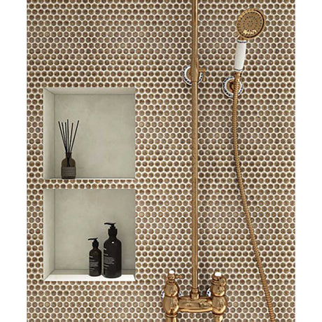 Bathroom setting with gold shower head, hose, and fixtures and Penny Round Porcelain Mosaic Tile - Rustic Sunset 