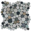Botany Bay Blend stone coin river rock mosaic tile