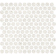 Terrazzo Penny Round Mosaic Tile Crushed Crystal Honed Finish