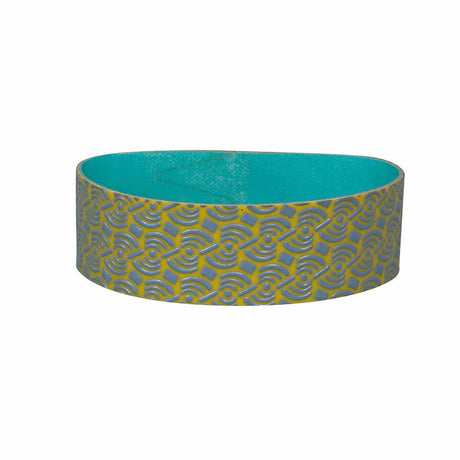 Raimondi diamond polishing band for BDWHUB rubber hub