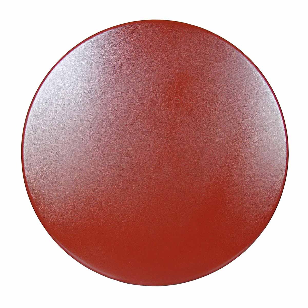 Raimondi Steel Disc to Smooth Fresh Cement Floor