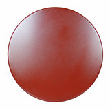 Raimondi Steel Disc to Smooth Fresh Cement Floor