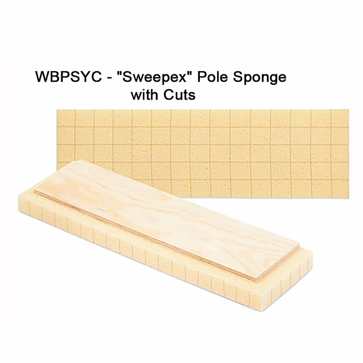 Raimondi Replacement Sponge for Pole Sponge labeled - Sweepex' 